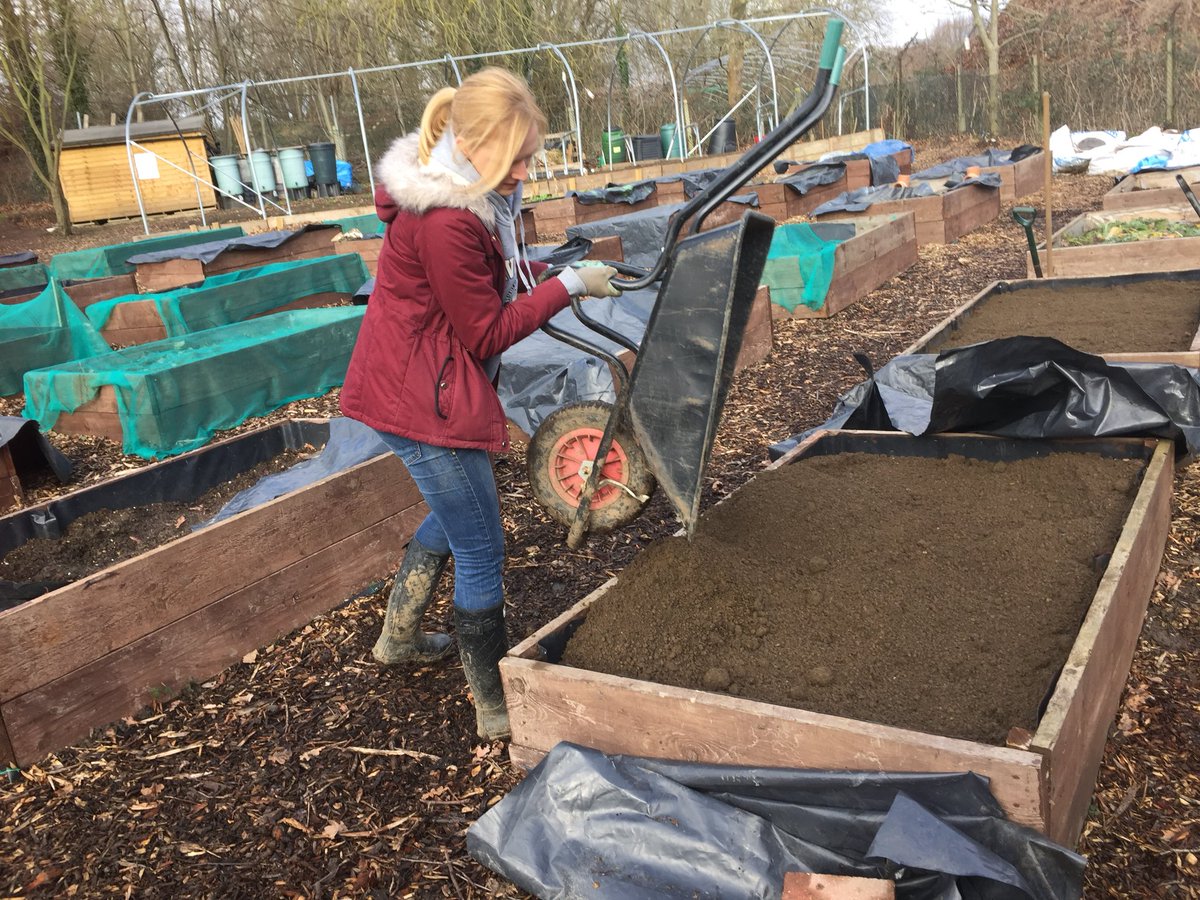 GROWLoughton's tweet image. Business sector #volunteers #Businesses #MakeADifference #communitygarden @BITC