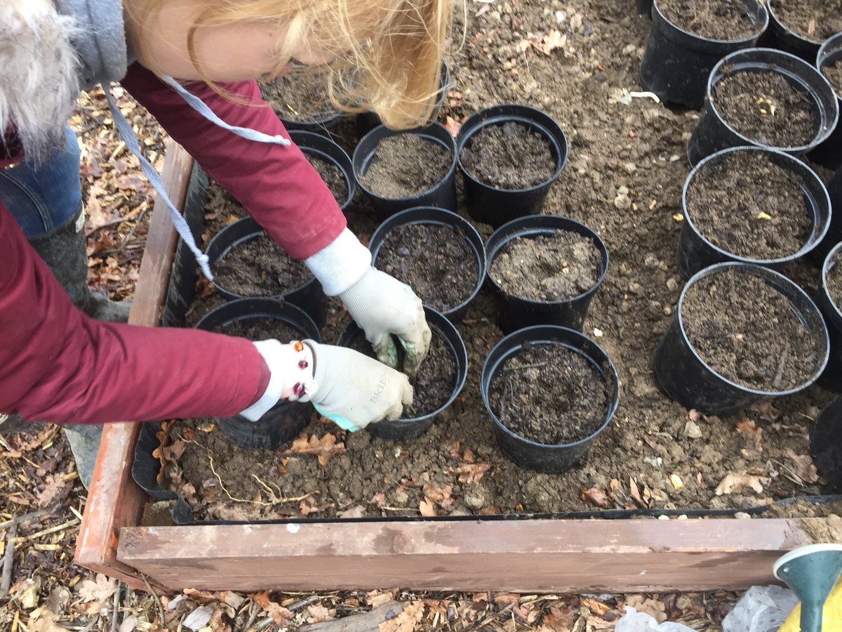 GROWLoughton's tweet image. Business sector #volunteers #Businesses #MakeADifference #communitygarden @BITC