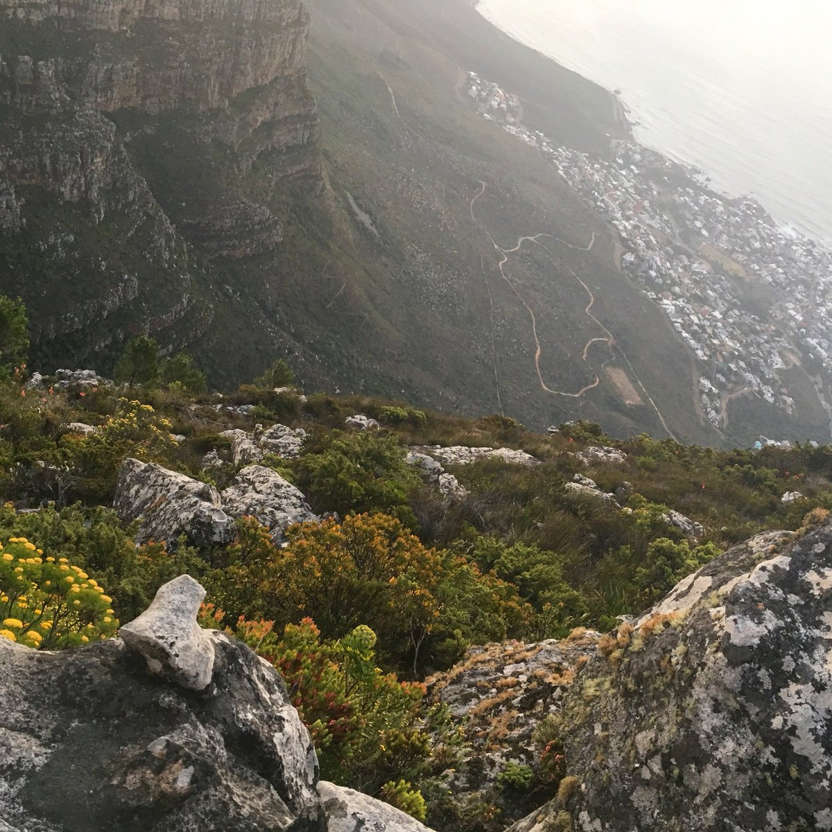 shimirhi's tweet photo. Table Mountain picnics make for beautiful memories...
👣🌿🌥🌬⛰
#CapeTown #TableMountain https://t.co/NHhyNngufh