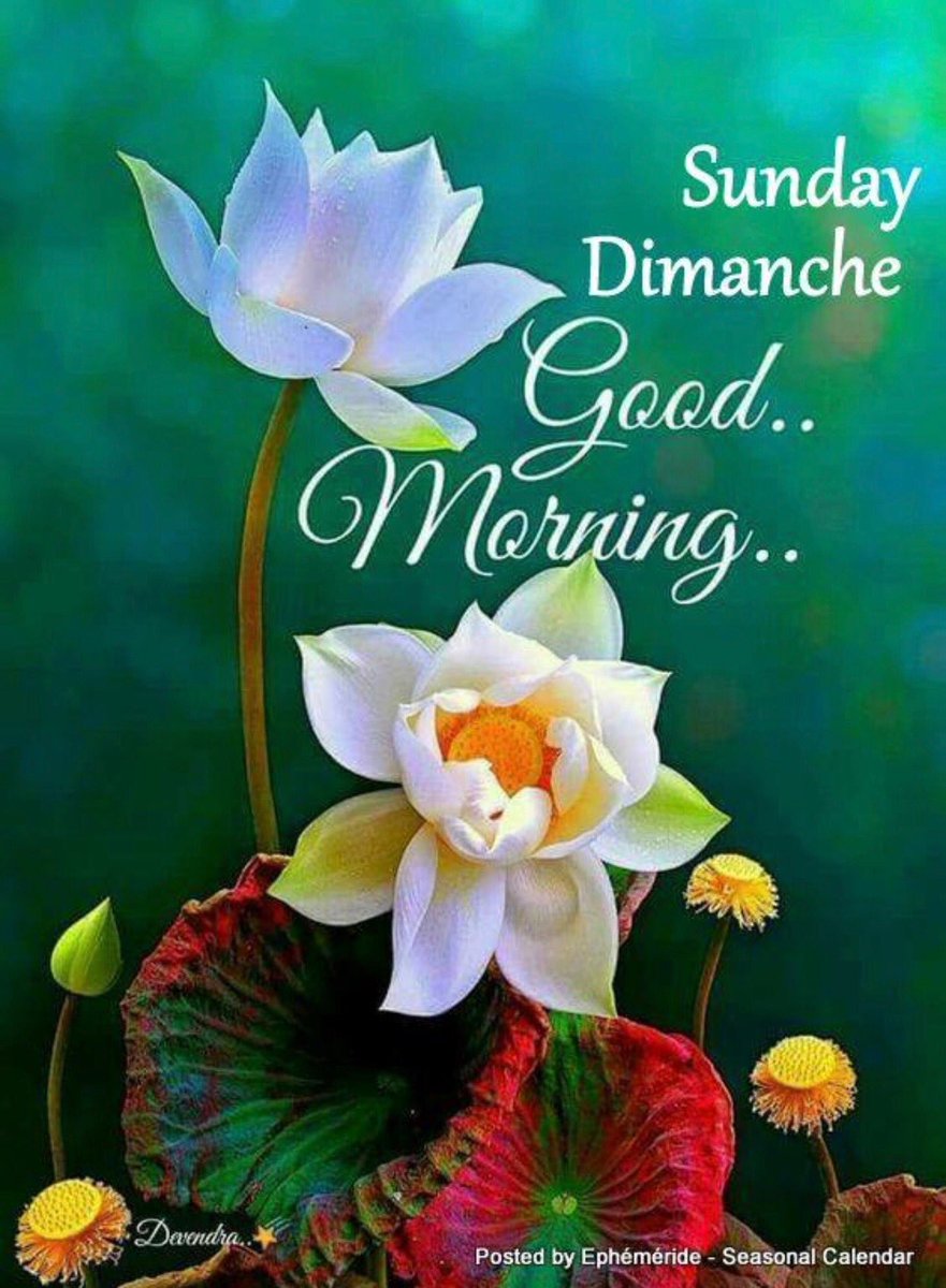 monicasloves's tweet photo. https://t.co/xFwbYUwJVi