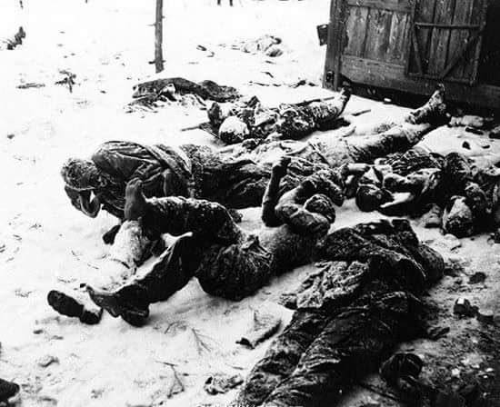 한국전쟁에서 얼어죽은 미군 등 유엔참전군인들 시신.  
놀러가다 사고로 죽은 아이들의 죽음만 소중하고, 이역만리 남의 나라 자유를 지켜주기 위해 꽃다운 나이에 고향과 부모형제, 친구와 연인을 뒤로 하고 이름도 모르는 극동 한반도에서 동족상잔 침략전쟁