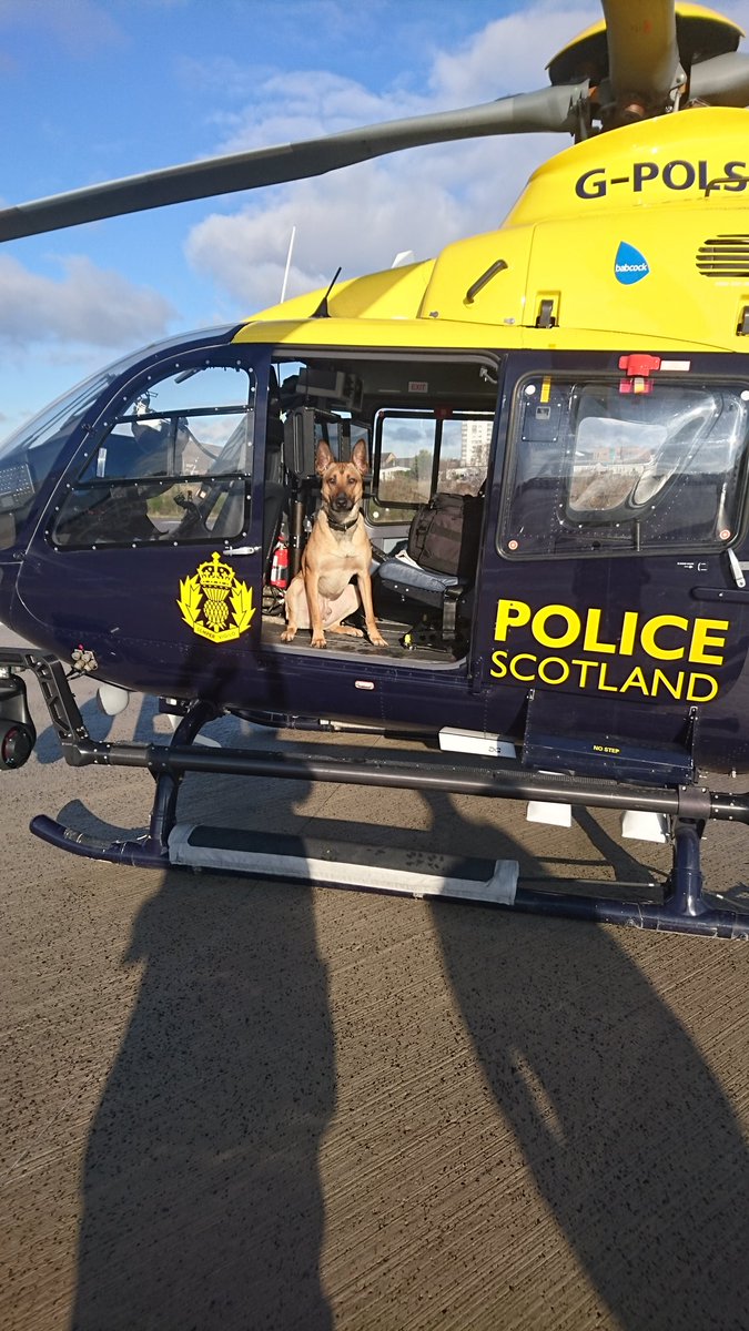 PSOSDogs's tweet photo. TPD Max was over visiting his colleagues @polscotair. Let's get our helicopter some more followers. #helicoptercrew #TPDMax 🚁🚓🐕 https://t.co/VWDFVXwmeF