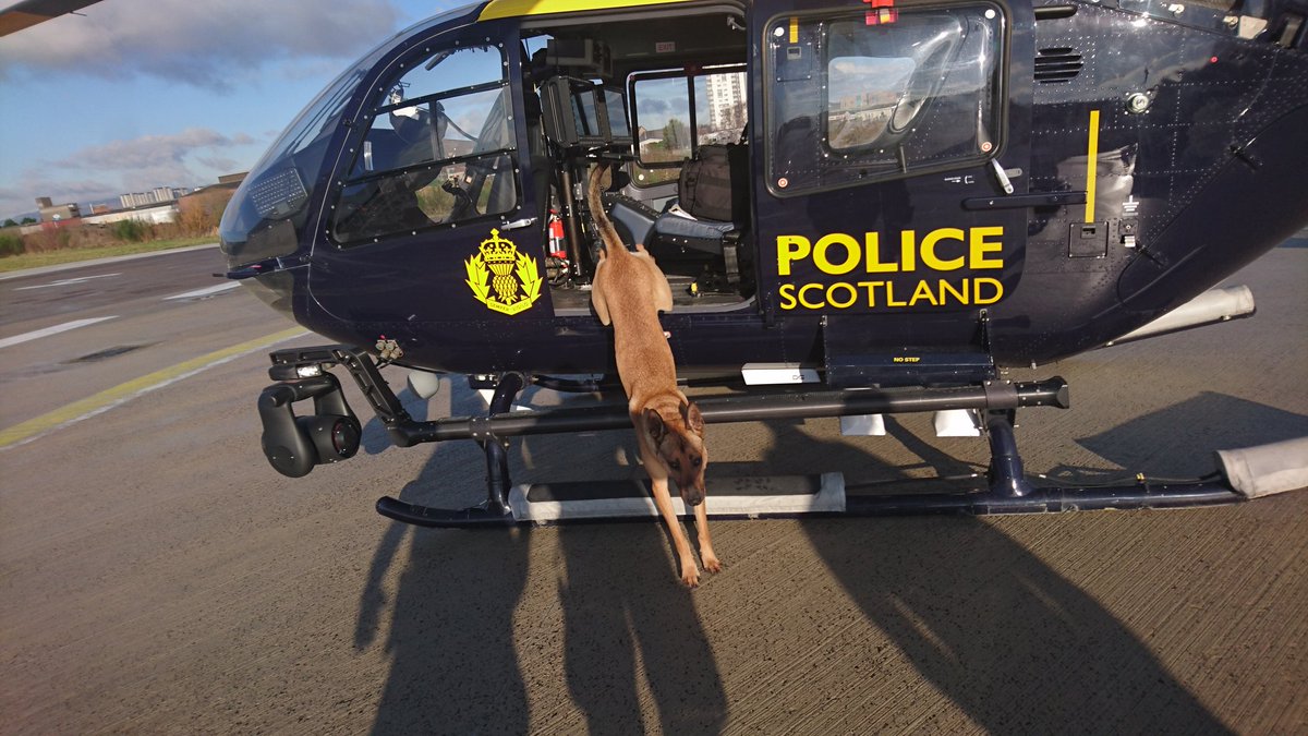 PSOSDogs's tweet photo. TPD Max was over visiting his colleagues @polscotair. Let's get our helicopter some more followers. #helicoptercrew #TPDMax 🚁🚓🐕 https://t.co/VWDFVXwmeF