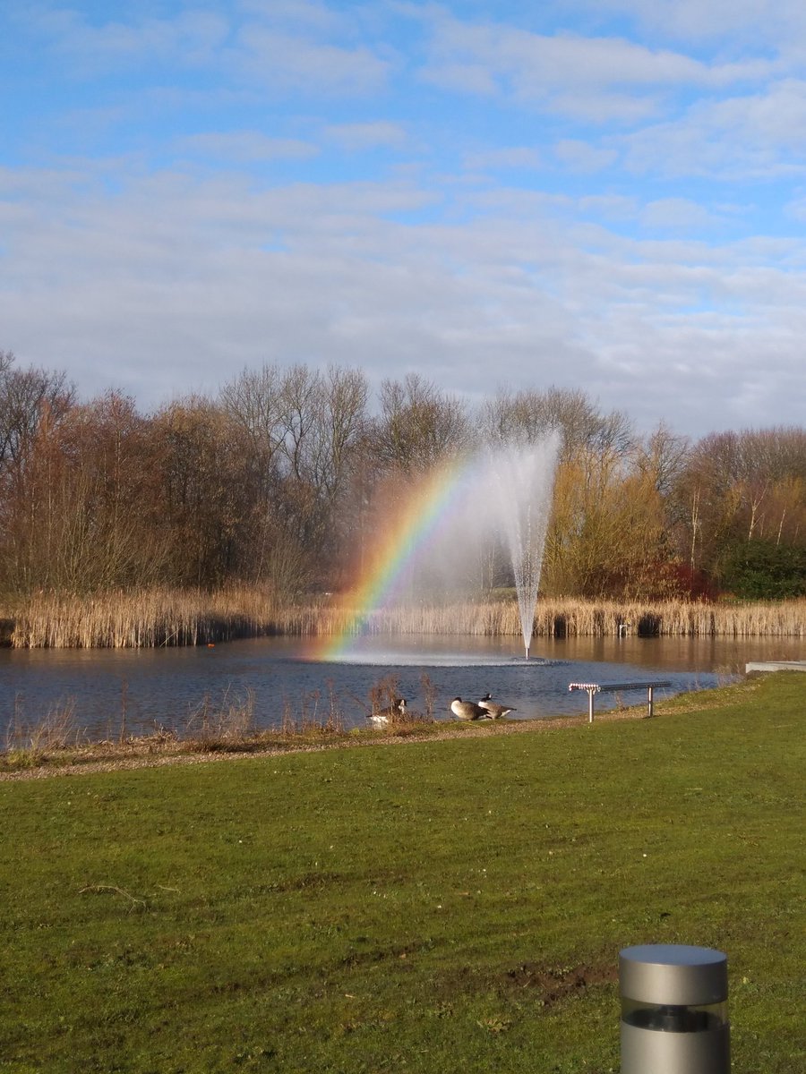 eleni_c22's tweet photo. Even nature on #jubileecampus is celebrating #LGBTHM18 #UoN  @UoNStudentLife @UoNgradschool  🌈 https://t.co/RmgMOzONOj