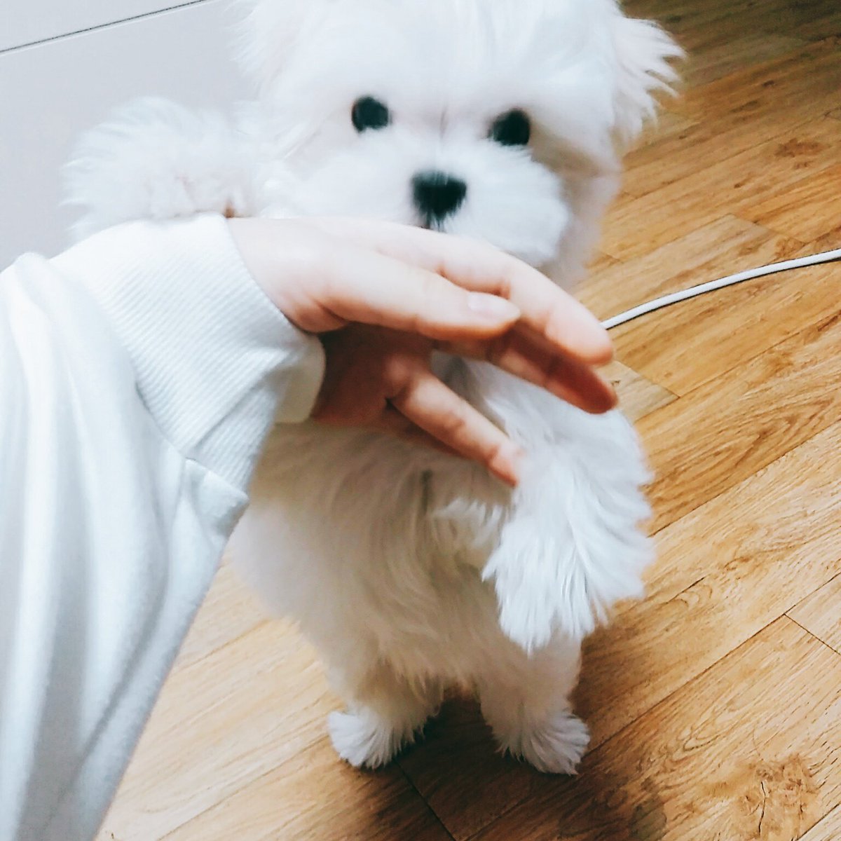 WhiteSpring_128's tweet photo. 180204 목표물 포착➡물기💦 https://t.co/eBKWYa7oCa