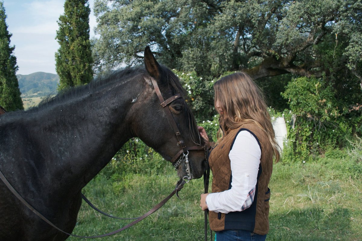 ciintiia_3's tweet photo. En los peores momentos busqué una mano y encontré una pata. La clase de amor que ni falla ni se apaga. 💙️🐾🐎🐴🐕🐶 https://t.co/NYon3E5gdg