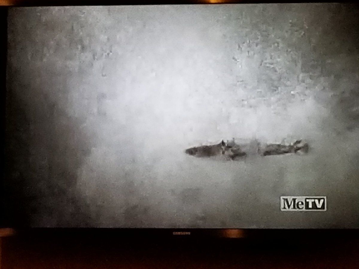 shlingdong's tweet photo. Thebeatsb feelbstayingbawakebthrough
Wow, cell...
The way I feel at 3:30 AM, staying awake through every* #ssfsn show tonight on 4 hours of sleep, 6 PM to 5 AM (*sorry, #MeTVThing):
#VTTBOTS #Svengoolie https://t.co/Zv2KFh4LcD