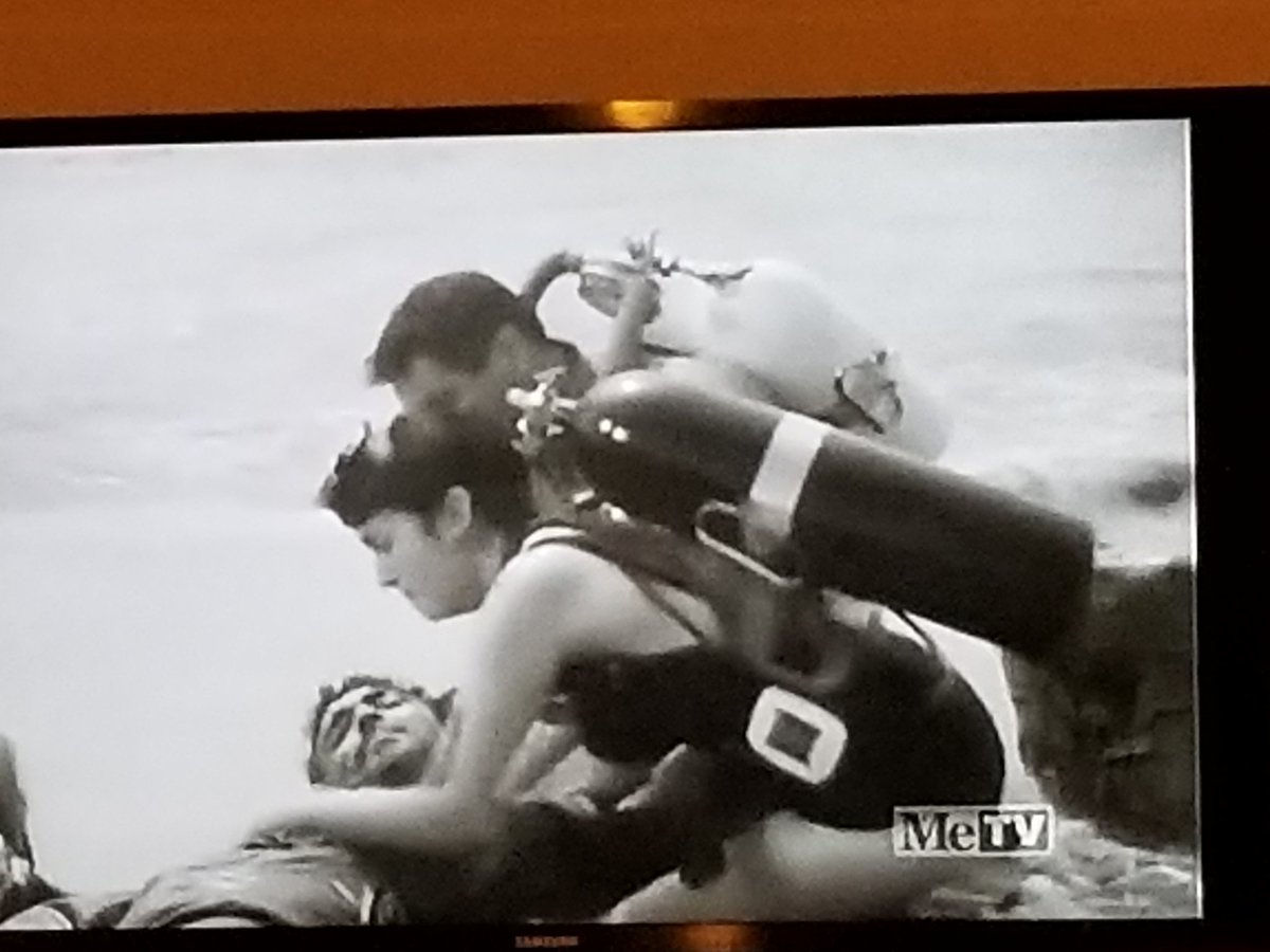 shlingdong's tweet photo. Thebeatsb feelbstayingbawakebthrough
Wow, cell...
The way I feel at 3:30 AM, staying awake through every* #ssfsn show tonight on 4 hours of sleep, 6 PM to 5 AM (*sorry, #MeTVThing):
#VTTBOTS #Svengoolie https://t.co/Zv2KFh4LcD
