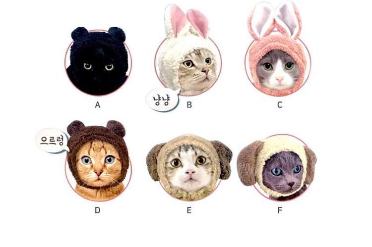 sister_closet_'s tweet photo. 귀여운 동물 모자 예약판매
* 15cm, 20cm 둘 다 가능할 것 같습니다
* 랜덤배송이며, 포장된 박스 제거 후에 배송됩니다.
* 최대한 중복없이 보냅니다

입금기간 : ~2/8, 오후 6시
배송예정 : 2/13~2/14
https://t.co/b8rvRQcZtA

알티추첨 한 분께 하나 보내드려요 !

인형 옷 소품 모자 옷장 나눔 https://t.co/ZQXwTfVPDu