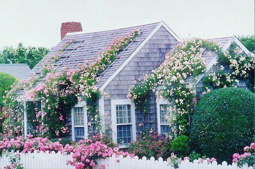 Elonion_CLoop's tweet image. ✿
너를 만나기 위해
이 모든 일을
다시 겪으라면,
나는 그렇게 할 거야

/ 그믐 또는 당신이 세계를 기억하는 방식, 장강명