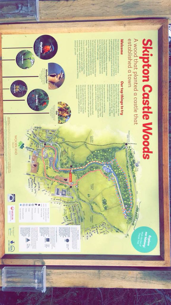 corinne2606's tweet photo. A very muddy walk through Skipton Woods this morning with @Joesvie #gettingfit #sundaywalk #summerbodyprep #skiptonwoods https://t.co/ODWhXoADEn