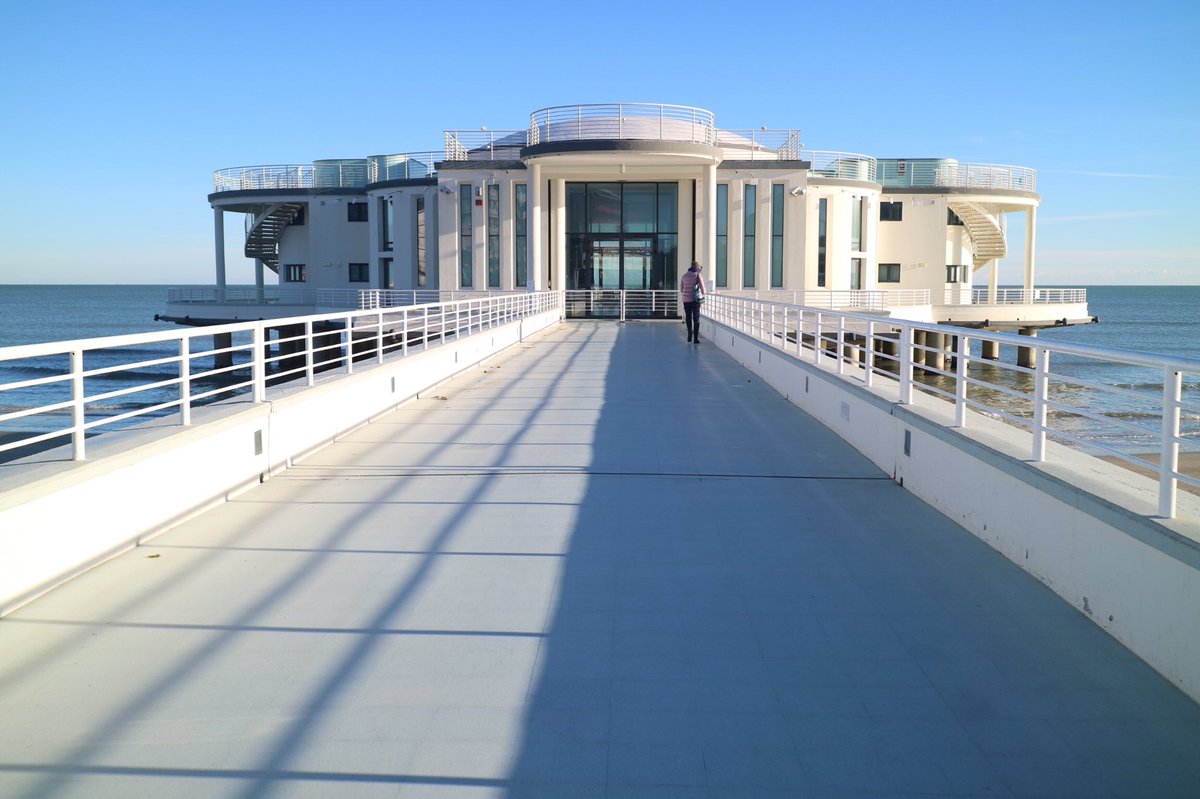 chiara carolei tweet media