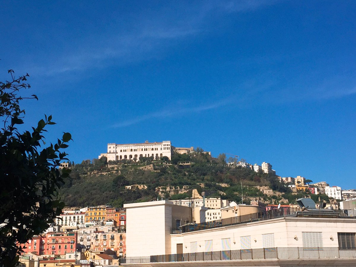 chiara carolei tweet media