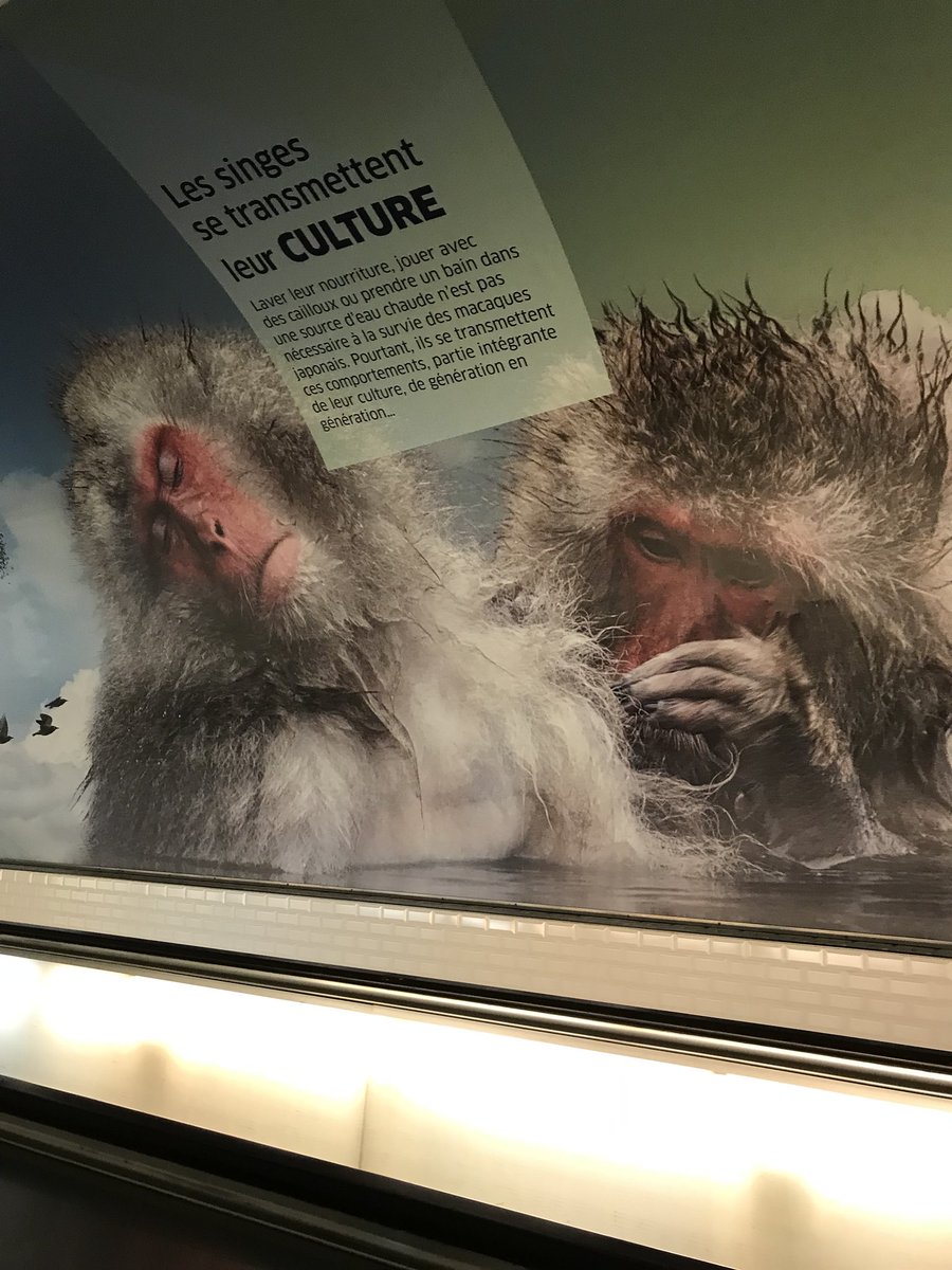 MorganePetit22's tweet photo. Le @CNRS et la gare de #ParisMontparnasse illustrent très bien le thème de la #ScienceEnPassant avec leur exposition ouverte à tous #EtonnantVivant ! À retrouver dans les couloirs du métro...
#MédiationScientifique #DiffusionScientifique https://t.co/3oXS2nMQU0