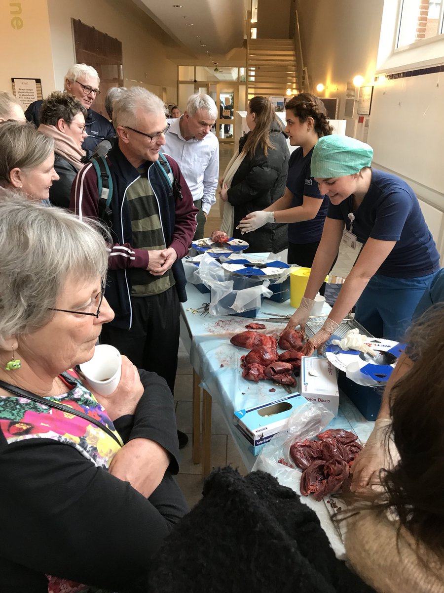 Vildt mange besøgende for at høre om hjerter på masser af måder- flot lavet!