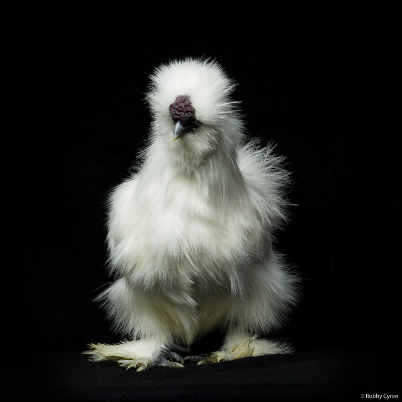 docphotomagazin's tweet photo. under our patronage: Robby Cyron @ Leica 6x7 Gallery Warsaw
-> https://t.co/210Jg8rRPK https://t.co/7STTgKi0lK