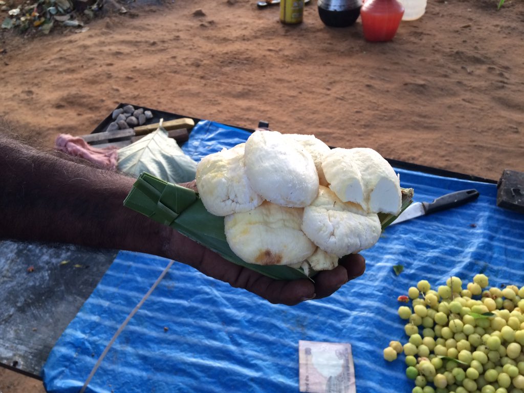 erasaravanan's tweet image. #பனை விதையை ஊன்றி கிழங்காகப் பயன்படுத்துவது போல் பனை விதையை வெட்டி பருப்பாகவும் சாப்பிடுவார்கள். &quot;உடல் குளிர்ச்சிக்கு அற்புதமான உணவு சார்...&quot; எனச் சொல்லி கெஞ்சுகிறார் ஒரு பெரியவர். கோக், பெப்சி குடிக்க சொல்லி பிரபலங்கள் சொன்னா கேட்போம். பெரியவங்க சொன்னா கேட்போமா?