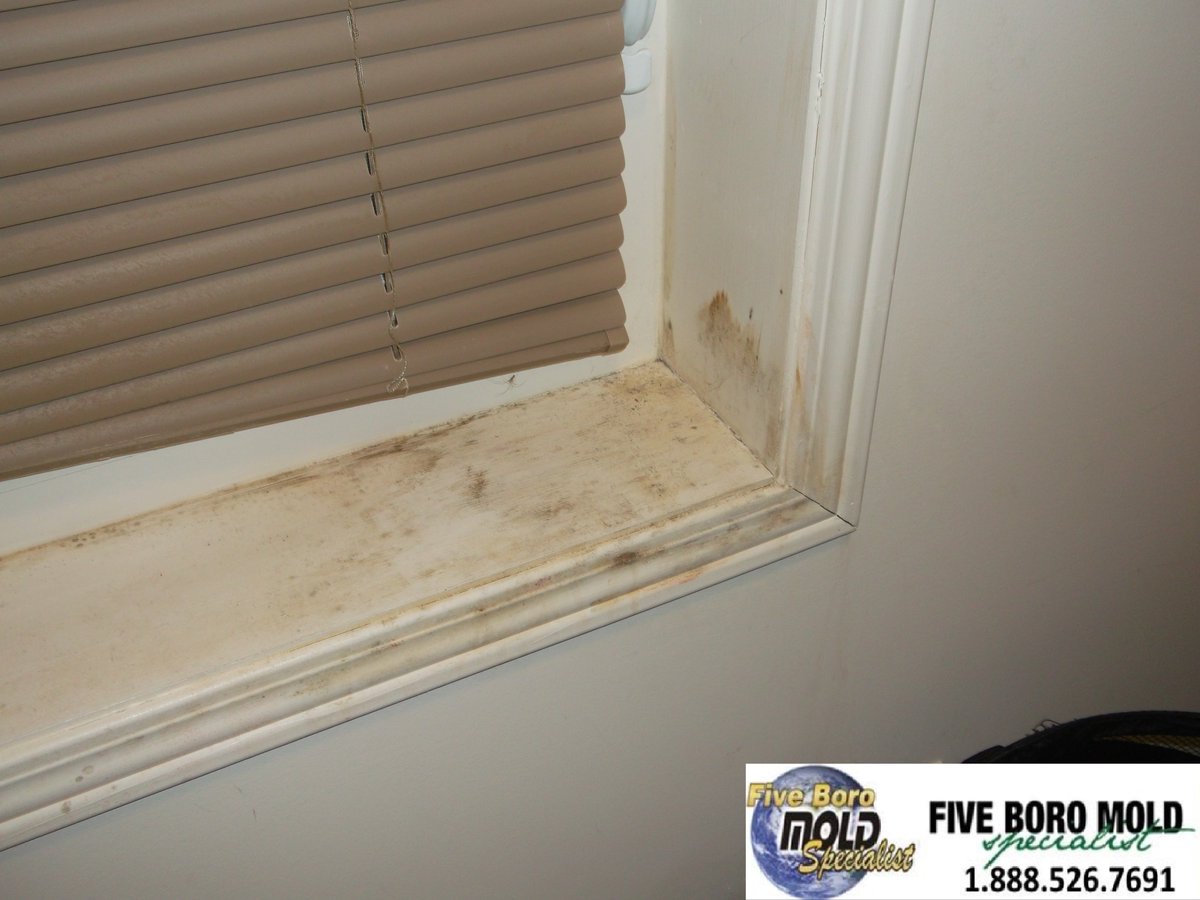 5BoroMold's tweet image. We are a certified water damage, mold removal &amp;amp; remediation, thermal imaging and mold inspection company with many years of experience in providing first class customer service in New York.
#mold #moldproblem #home #business #moldsigns #moldconcerns #moldgrowth #harmfulmold