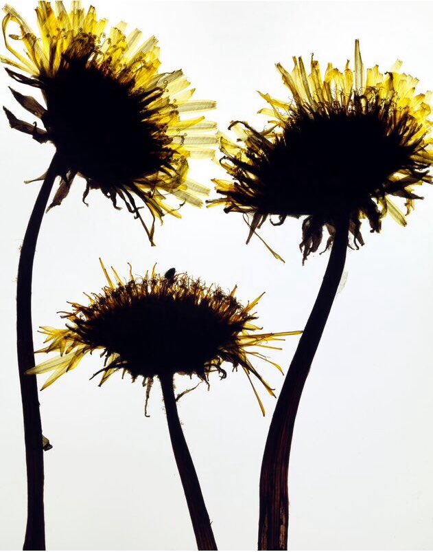 Edmund Clark tweet media