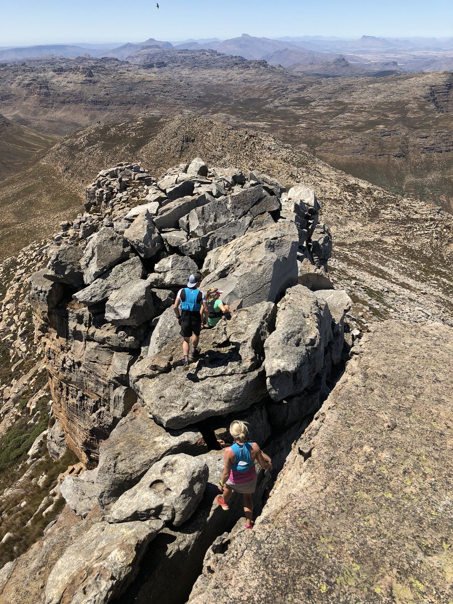 Ryan Sandes tweet media