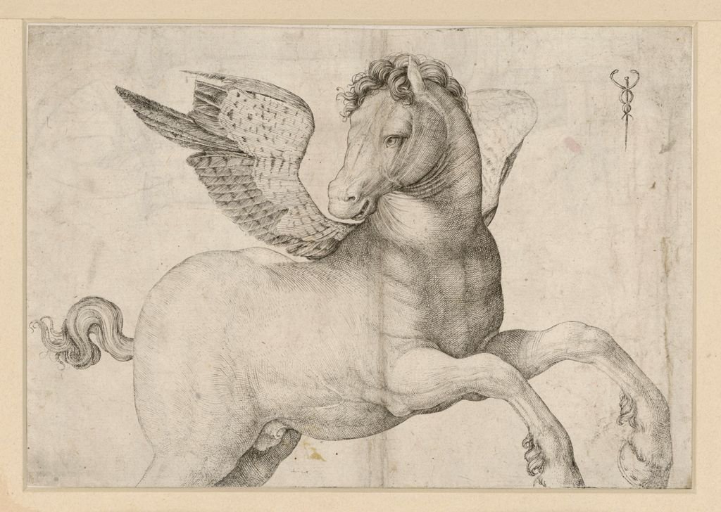 On until 11 March 2018 in Berlin: Jacopo de‘ Barbari. Ein Italiener und die Renaissance im Norden
at the Kupferstichkabinett.
Here Jacopo's 'Pegasus'