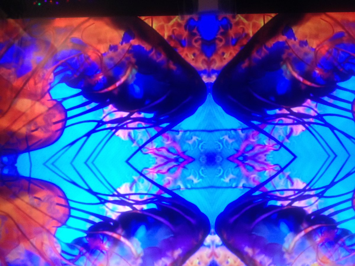 mofamband's tweet photo. Preview of live animated visuals by @bigboxoftricks for our show @BowBeehive on Friday 9th Feb. @mofamband will be on at 8.30pm, followed by @juhamusic and Josh Fur. #synthpunk #freegig #visuals #synthpop https://t.co/ZCQT5Ug6Q3