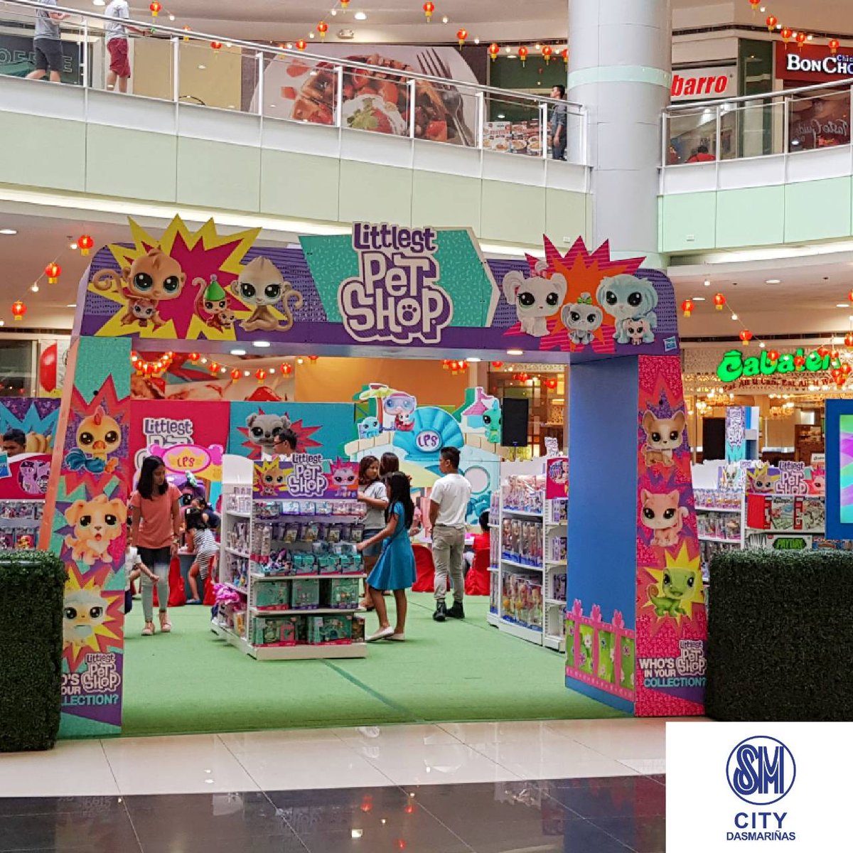 pet shop in city centre