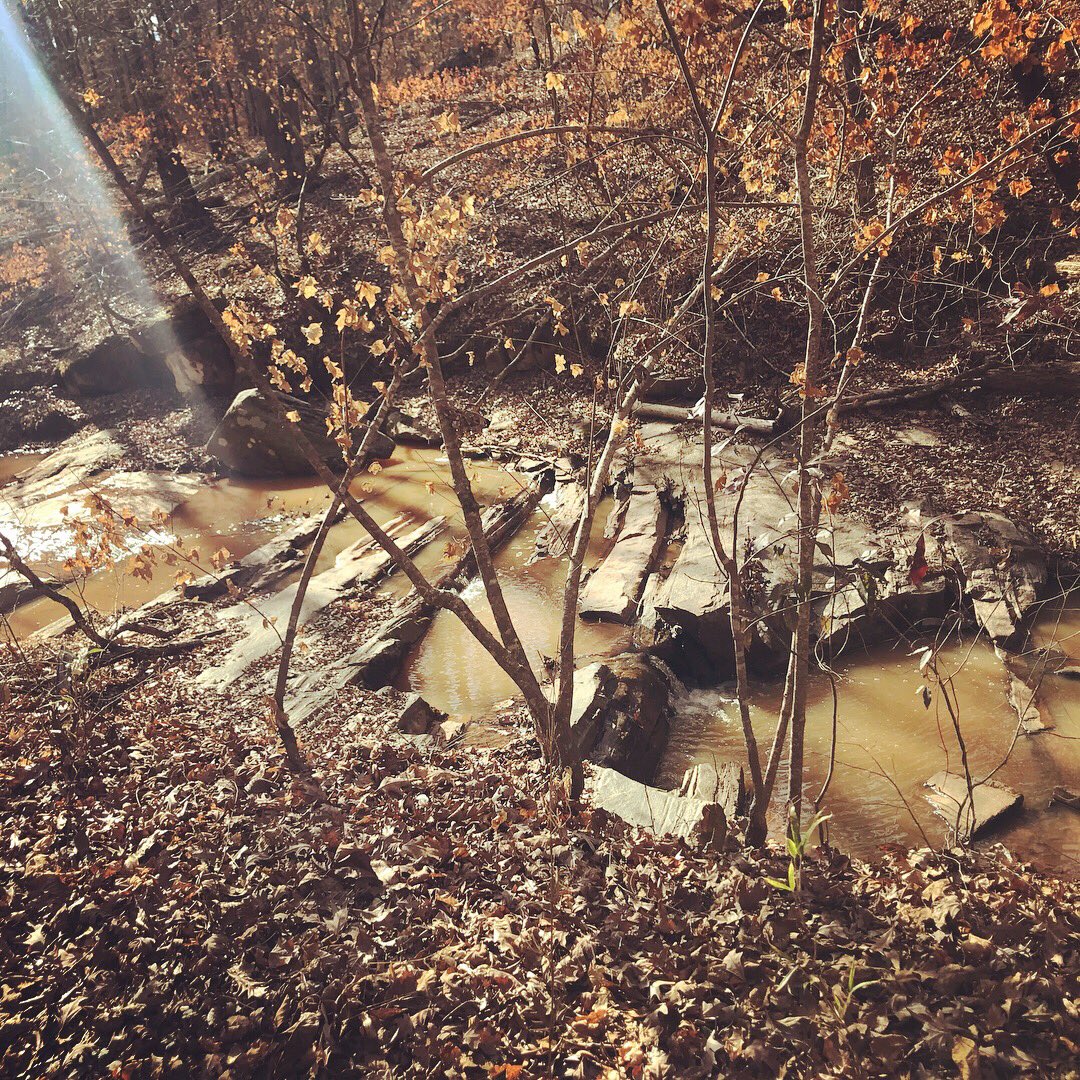 socialshark's tweet photo. Had an epic time yesterday at the Rut Rogue 40 miler in South Carolina. 🏃🏻 👊🏼💥
•
•
#rutrogue40s #rutrogue40miler #hollowaygear #augustaactive  #fitletic #pacifichealthlabs #saxxunderwear #teamhotshot #procompression #ultrarunner #ultrarunning #trailrunner https://t.co/LaUlFiWrok