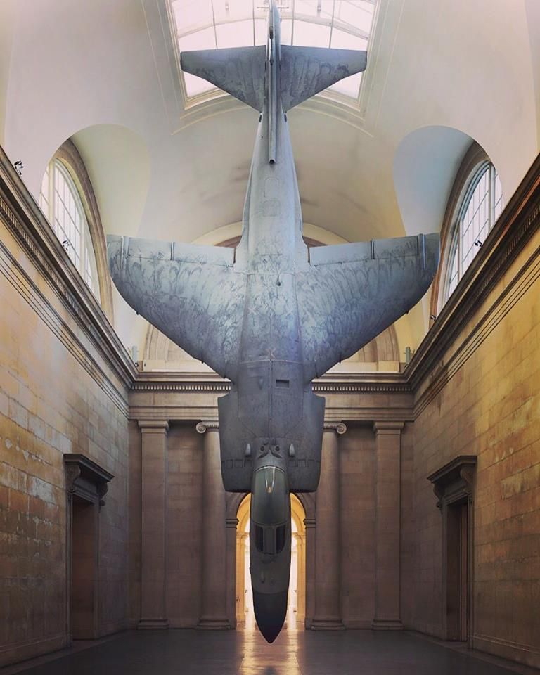 auctionspublic's tweet photo. #ArtOfTheDay 😱 Christ ... "Harrier" by Fiona Banner https://t.co/ZzBr9Br0RO