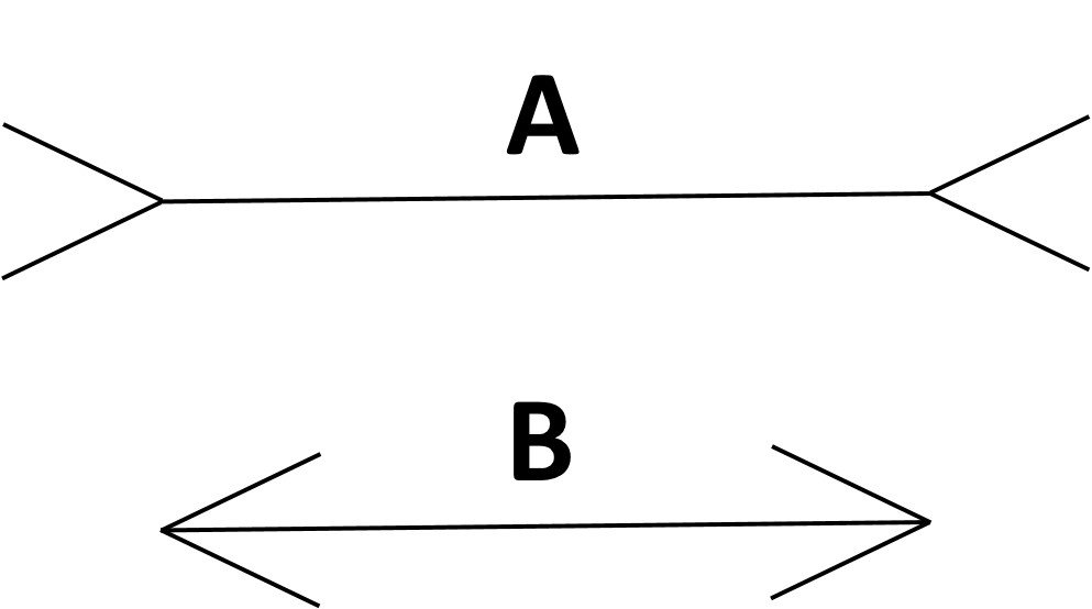 BehaCleaners's tweet photo. (Seemingly) simple question...which line is longer? Post your answer in the comments! https://t.co/wAybgxywOZ