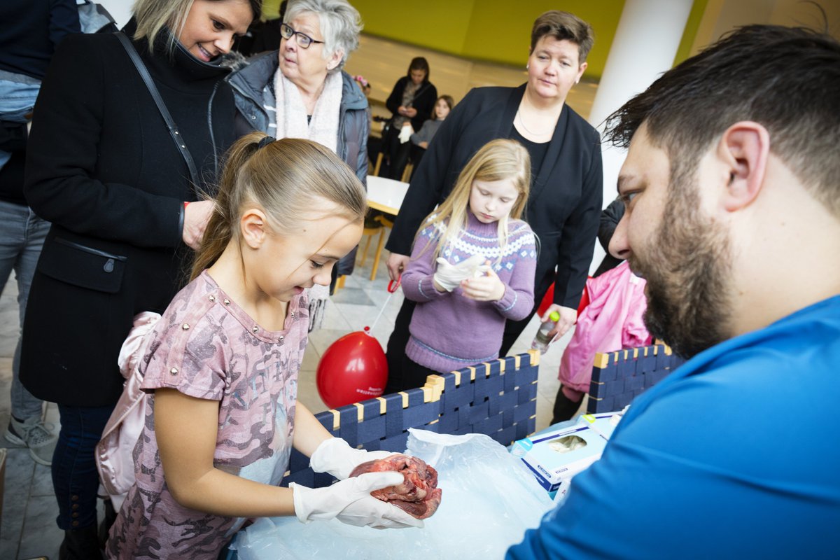 AUHdk's tweet photo. Stor interesse for Åbent Hus hos hjerterne. Her fik børnene – måske kommende hjertekirurger – fingrene i (svine)hjerter #HjerternesFest #hjerter #Aarhus #hjertetransplantation https://t.co/bGUIchQLsN