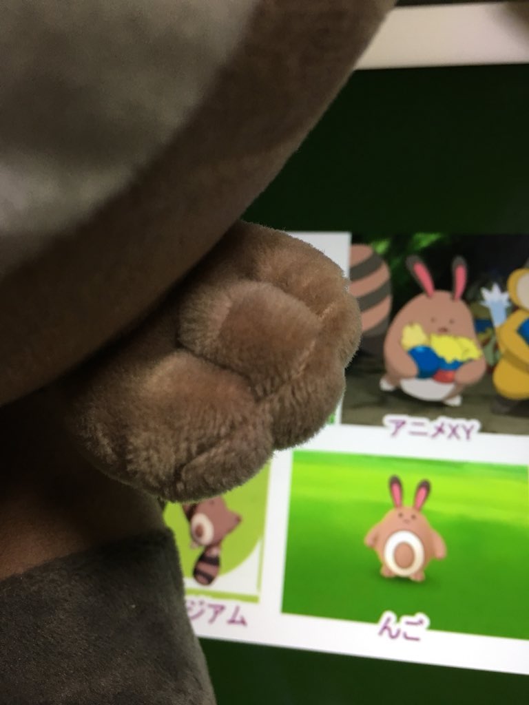 スーパーオタチ A S ぬいぐるみは白く無いですね オタチかわいい