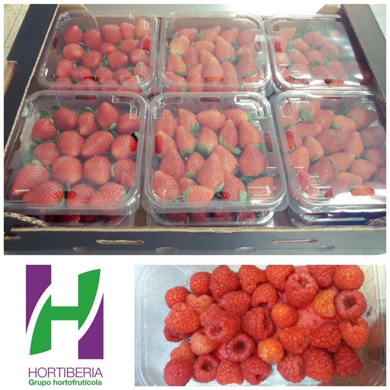Hortiberia's tweet photo. En febrero llevaremos por todo el mundo #fresas, #frambuesas y #arándanos, productos cada vez más apreciados por los consumidores gracias a sus propiedades antioxidantes y beneficios desintoxicantes. https://t.co/IYKxoppPHa