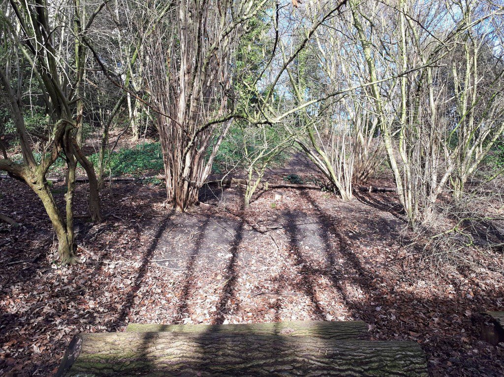 Parkland Walk Survey notjuststroudgreen.com/parkland-walk-…