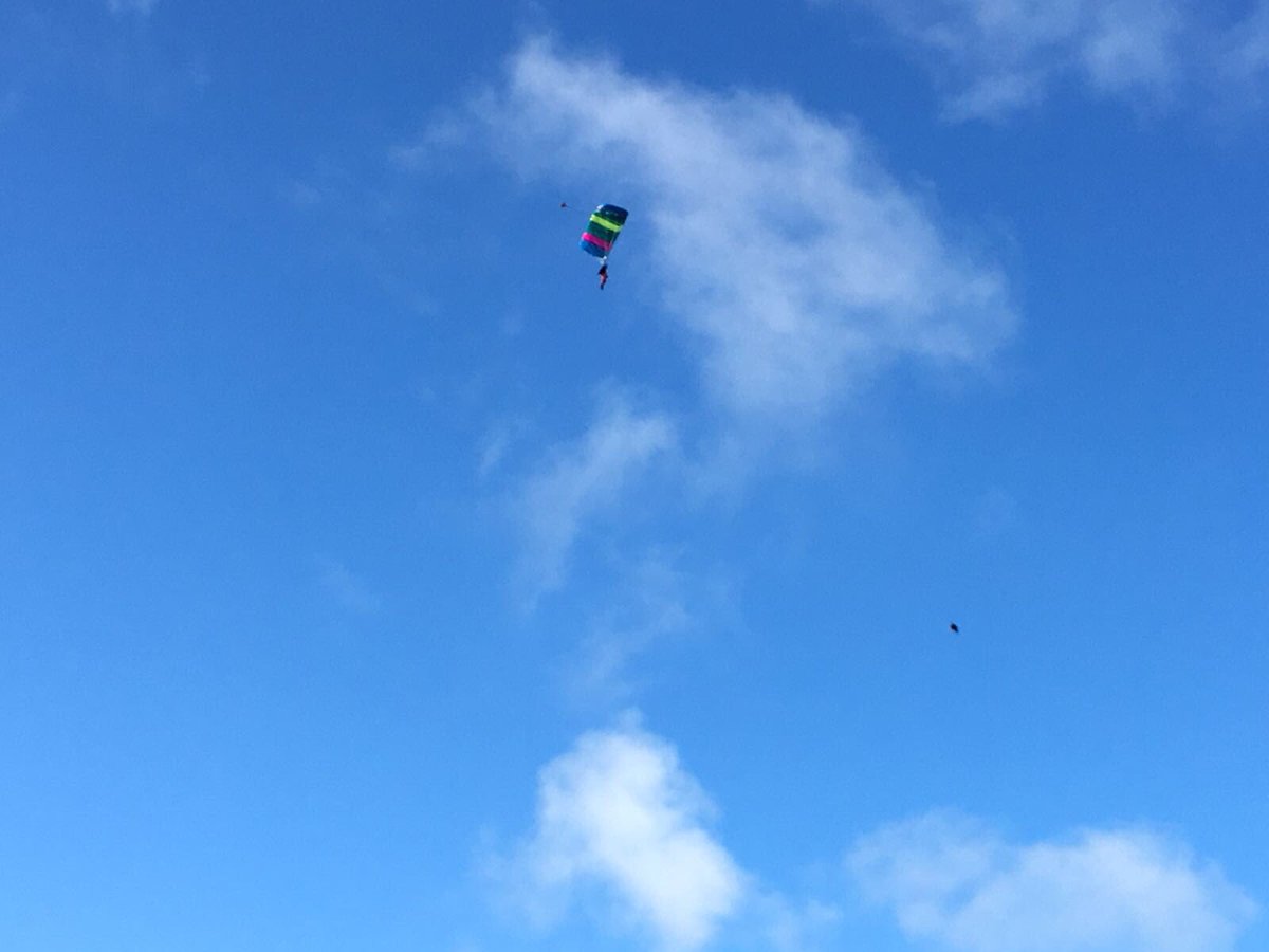 Iona Somerville tweet media