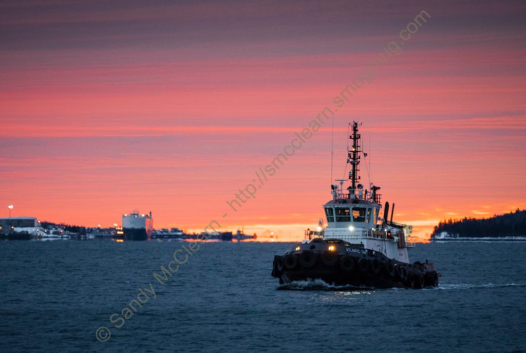 sandymcclearn's tweet photo. A few tug photos from January, as seen from @My_Waterfront and the @hfxtransit ferries. I award myself extra points for capturing two Irving tugs in front of the Irving shipyard where #AtlanticCondor was built. π #AtlanticOak #ShipsinPics #HalifaxNS https://t.co/ltnDTYM5be
