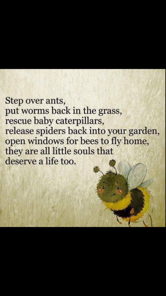 shaundubss's tweet photo. #kindness #compassion Be kind to everything that lives &amp; change the 🌎........🙏🤘🏻 https://t.co/2tfNjAlJJv