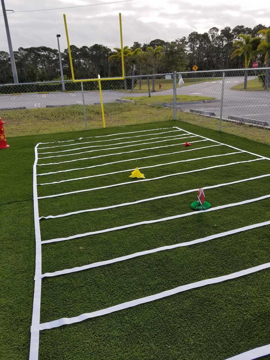 dlynch772's tweet photo. The field of play is set..We are expecting lots of penalties for excessive cuteness today! #puppybowl #humanesocietystlucie #adopt https://t.co/Jqcj0zCnd0