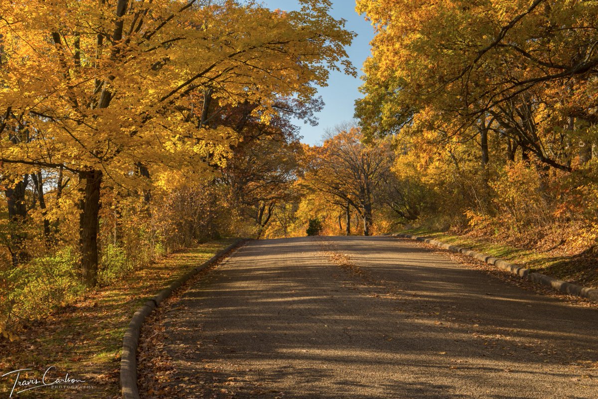 TornadoVortex's tweet photo. 11/08/17 Fall Foliage 2017: https://t.co/IpkT9NphIe https://t.co/nAD5KgtsTe