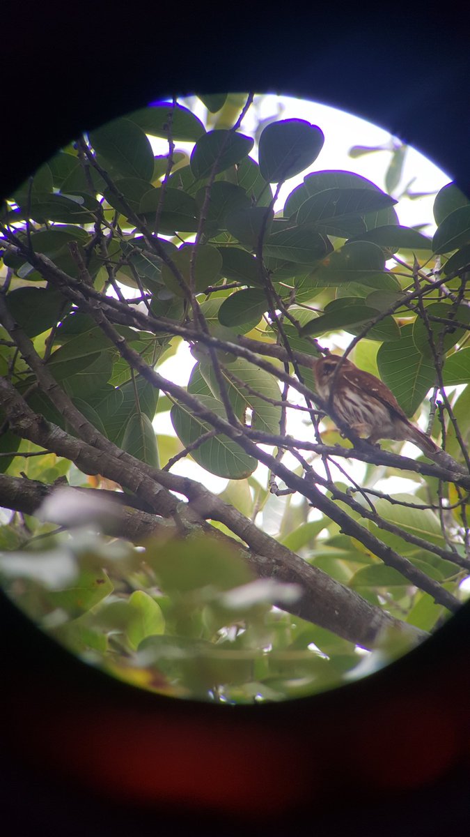 mikechannel79's tweet photo. birdwatching!!! https://t.co/geoMmiQyZ5
