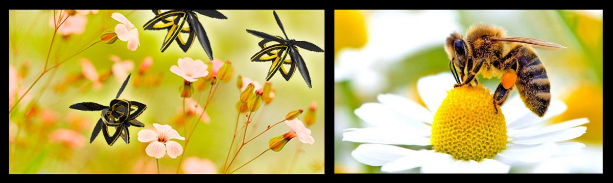 Itermind's tweet image. Plan Bee. Il #drone - #ape
Leggero, grazioso e efficiente. Plan Bee è la riproduzione, in forma tecnologica, delle api con lo scopo di “fare il loro mestiere”, ovvero #impollinare .
Scopri di più itermind.altervista.org/plan-bee-drone…
 @Itermind