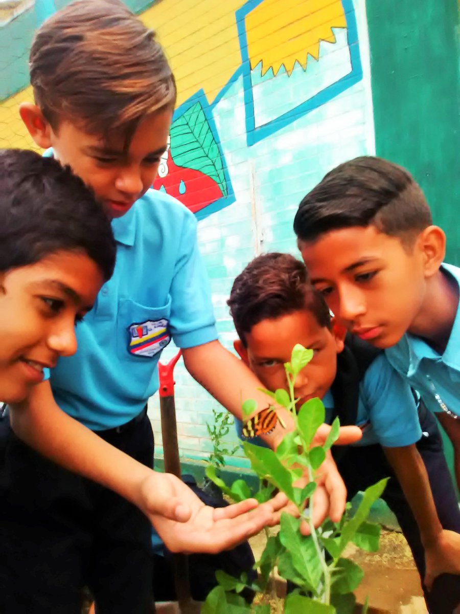 #Felicitamos al Liceo el #UJANO  quienes demuestran verdadero amor por la #madretierra siguelos en la cuenta <a href="/UjanoEl/">Brigada El Ujano</a>  x.com/ujanoel?lang=es   <a href="/fundamiarbol/">Misión Árbol</a>  @PTMSIEMBRALARA