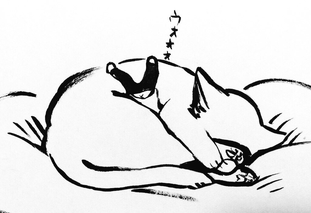 #あなたの猫見せてください 