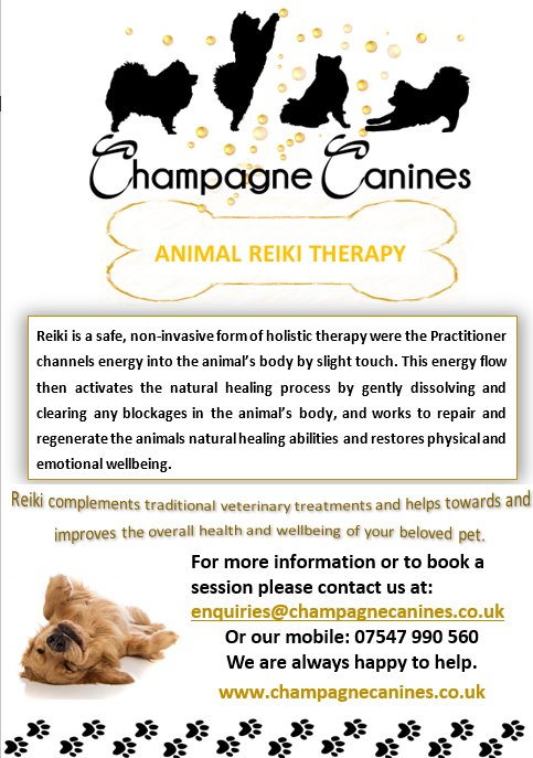 Champagnecanine's tweet photo. #HolisticHour #happydog  Hi, we hope you are having a relaxing evening.  We are a new business who adore dogs, and we love knowing that we are here to help you with your pets Health &amp; Wellbeing, either with our Reiki therapist or wellbeing tonics for sale in our online shop. CC🐾 https://t.co/1FNnqh52mI