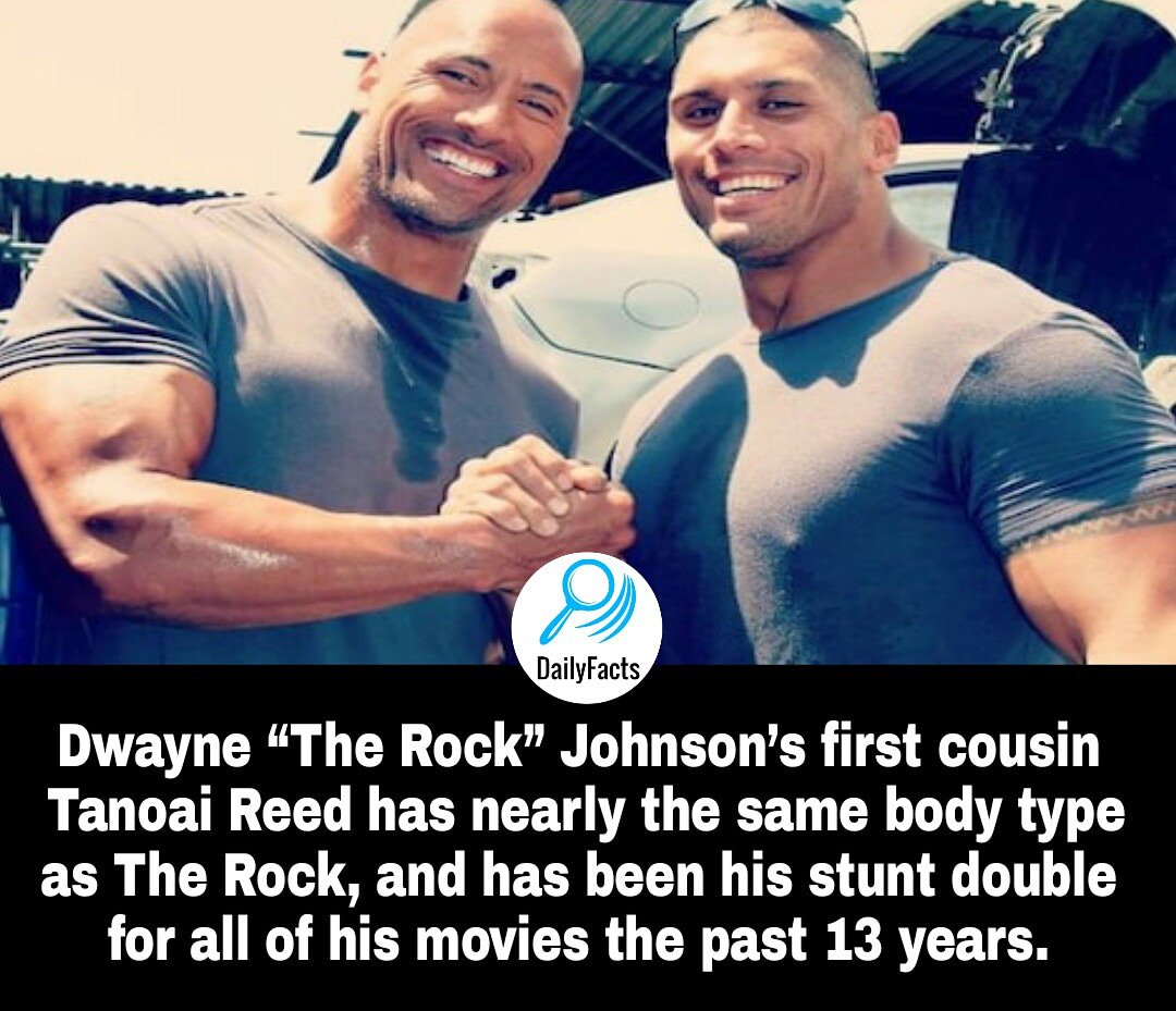 NowYouKnowDaily's tweet image. 