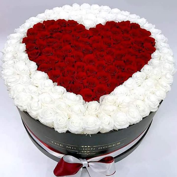 qsx06's tweet photo. @AS_0ii 

إن كان للتميز عنوان ورونق
فـ أنت عنوانه 🌹🍃
الف مبروك #الأشراف🕊🌹
يستحقي وبجدارة
🔴مشرفنا المميز
⤵️⤵️⤵️
منورإدارة قروب  #ديوان��ه_الهقاوي 

👏👏🎉🎈🎉🎈 https://t.co/3uYpshBpcS