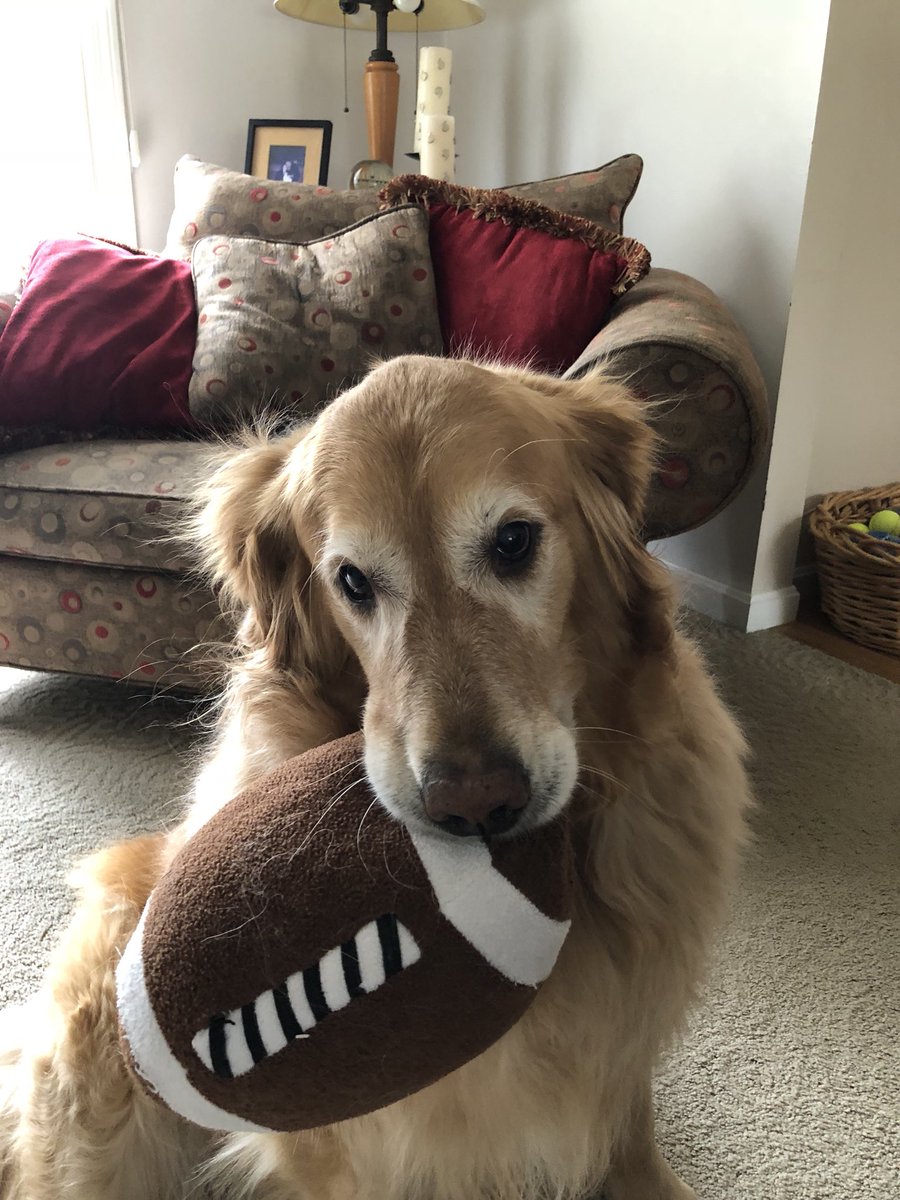 Wide retriever or most valuable pup