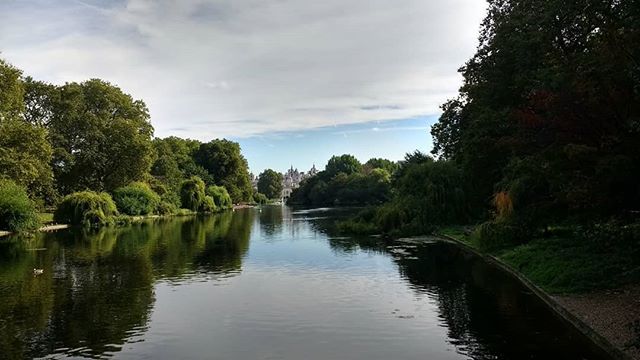 DP_Symposium's tweet photo. Green park in spring
.
.
.
.
.
#landscape_lovers #landscapephotography #landscapelovers #landscape_captures #landscapes #hiking #trees #scenery #outdoors #woods #woodland #lake #instanature #tree #water #forest #naturelover #panorama #autumn #skylovers #… https://t.co/j2f8Cyg3fc https://t.co/goCc0vwb0M