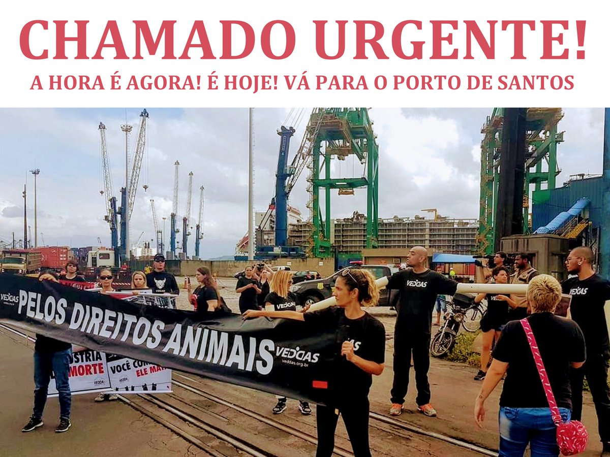 erisonviais's tweet photo. #PortoVergonha https://t.co/NcHphF5dWl