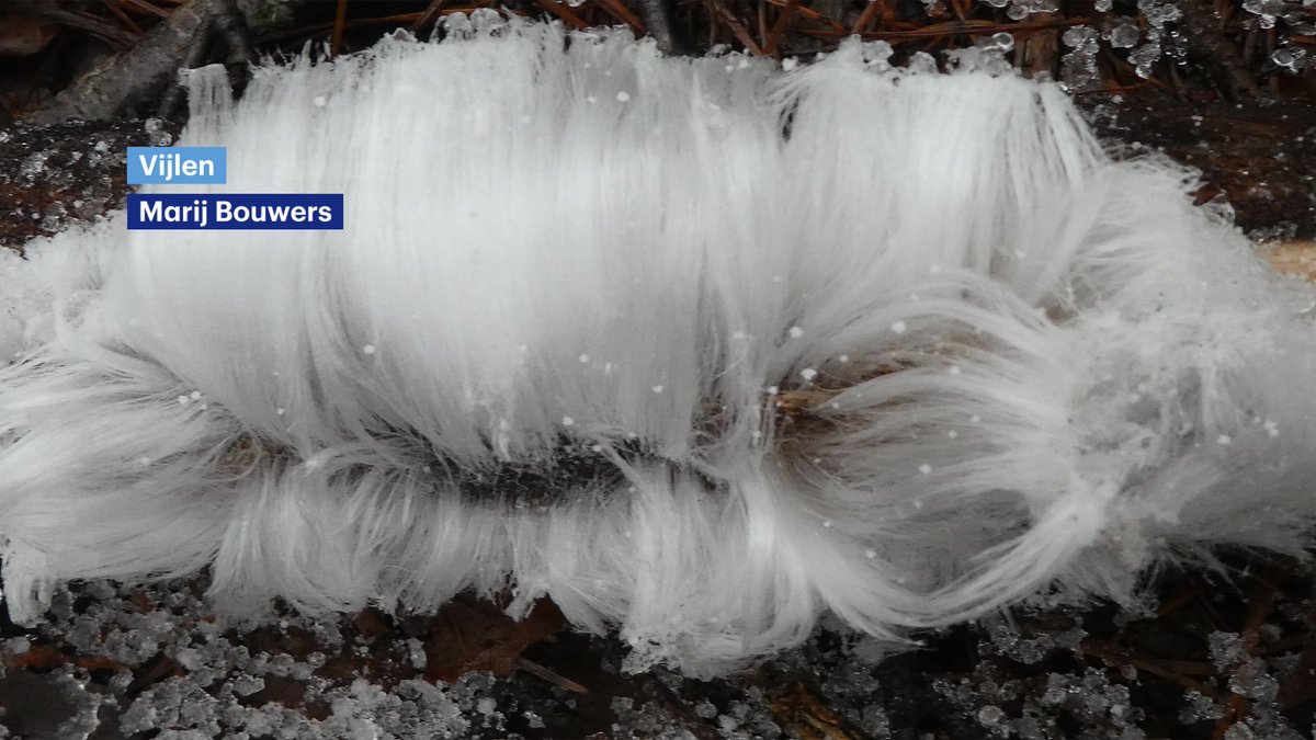 De baard van Koning Winter werd vandaag gesignaleerd. Benieuwd hoe dat ontstaat? Check dan even het #rtlweer om 19:55 op <a href="/RTL4/">RTL</a>